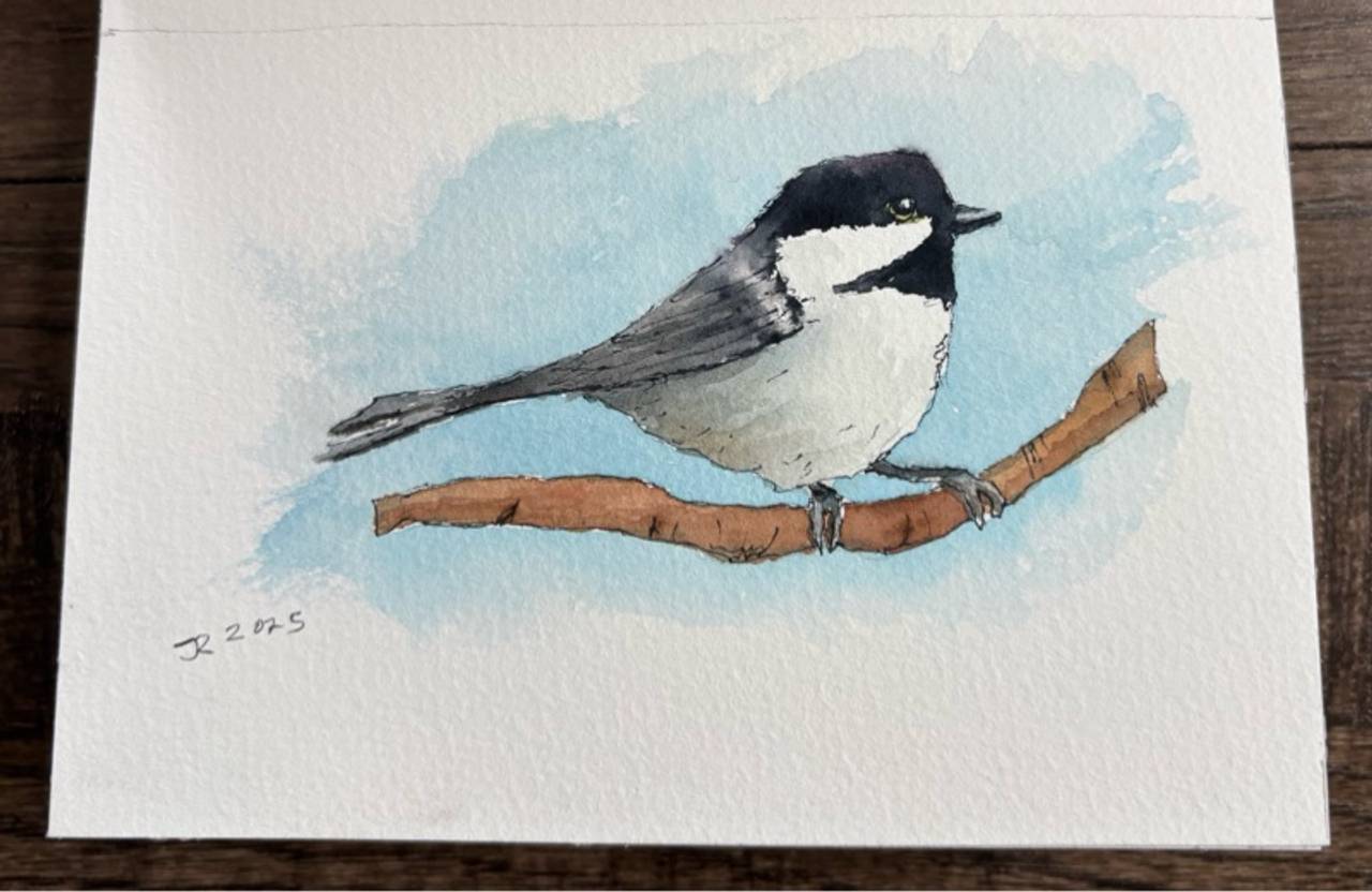 Black-capped Chickadee Original Watercolor
