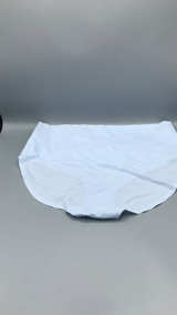 Spanx Brief Panty - Image 3