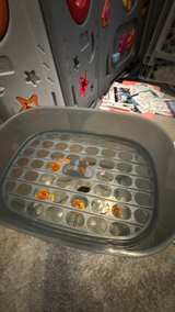 Baby Brezza One Step Sterilizer Dryer Advanced - Image 4