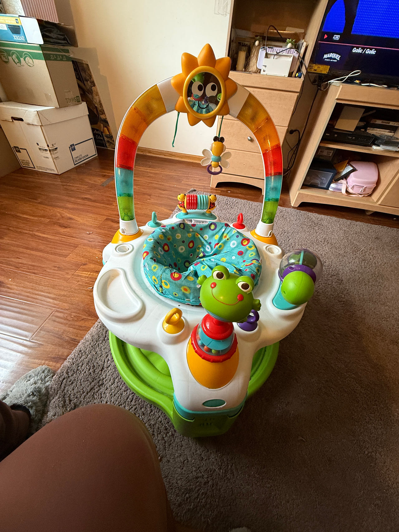 Baby Einstein Neighborhood Friends Activity Jumper