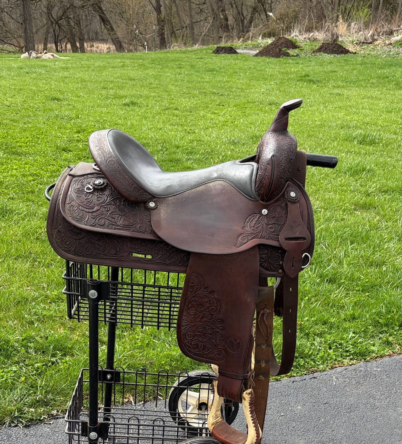 Circle Y Western Trail Saddle