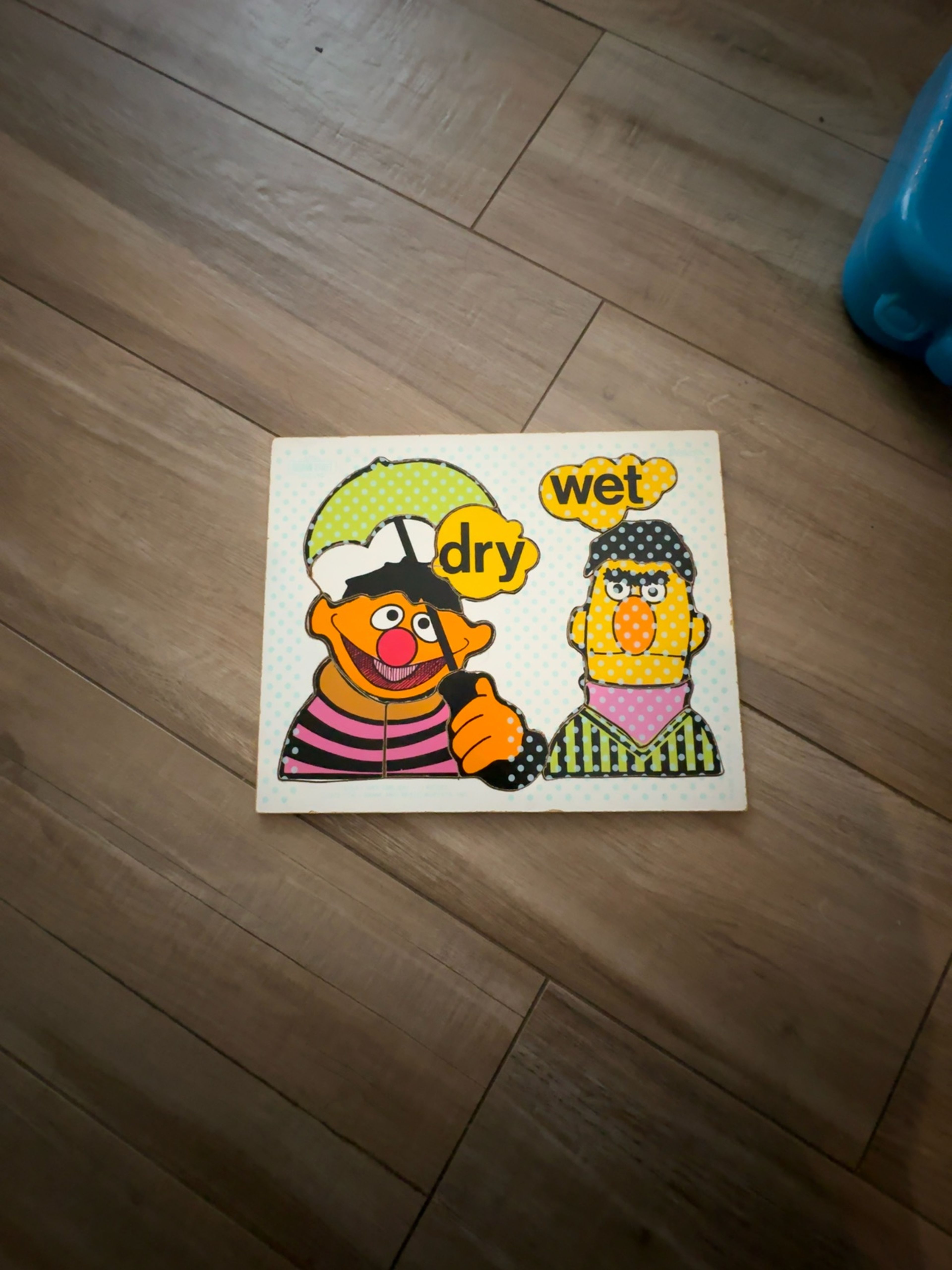 Playskool Sesame Street Bert & Ernie Wet/Dry Wooden Puzzle