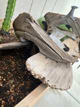 Antique Wooden Saddle Tree - Image 2