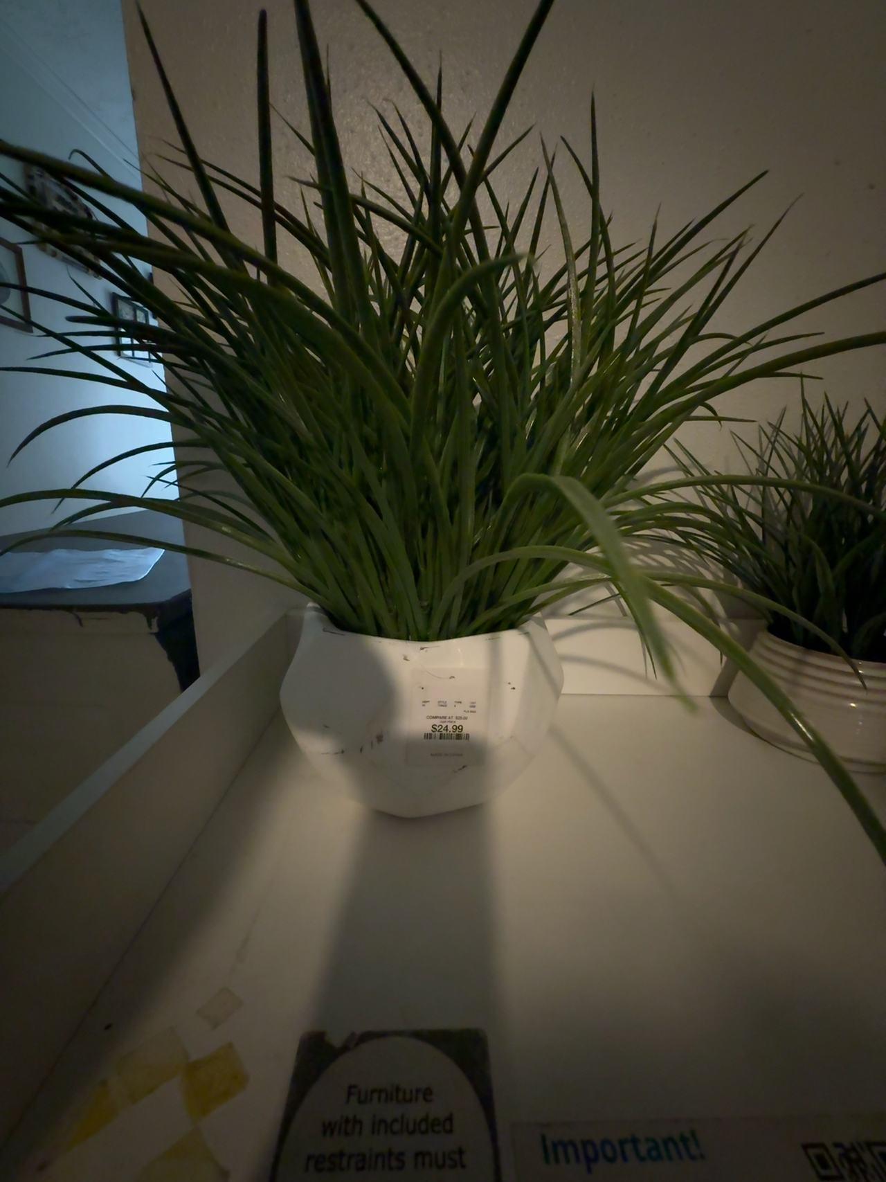  Artificial Grass in Ceramic Pot 30"