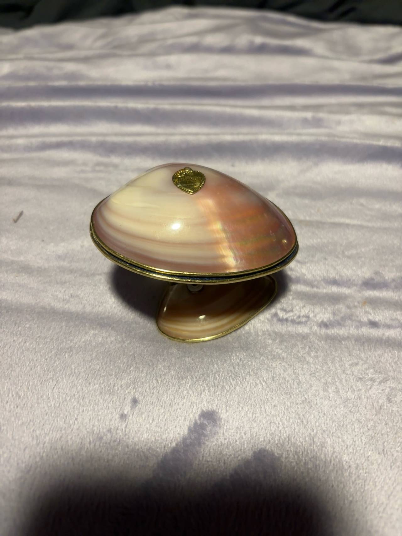 Clam Shell Trinket Box with Brass Trim