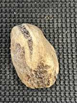 Petrified Wood Slab Natural Fossil - Image 3