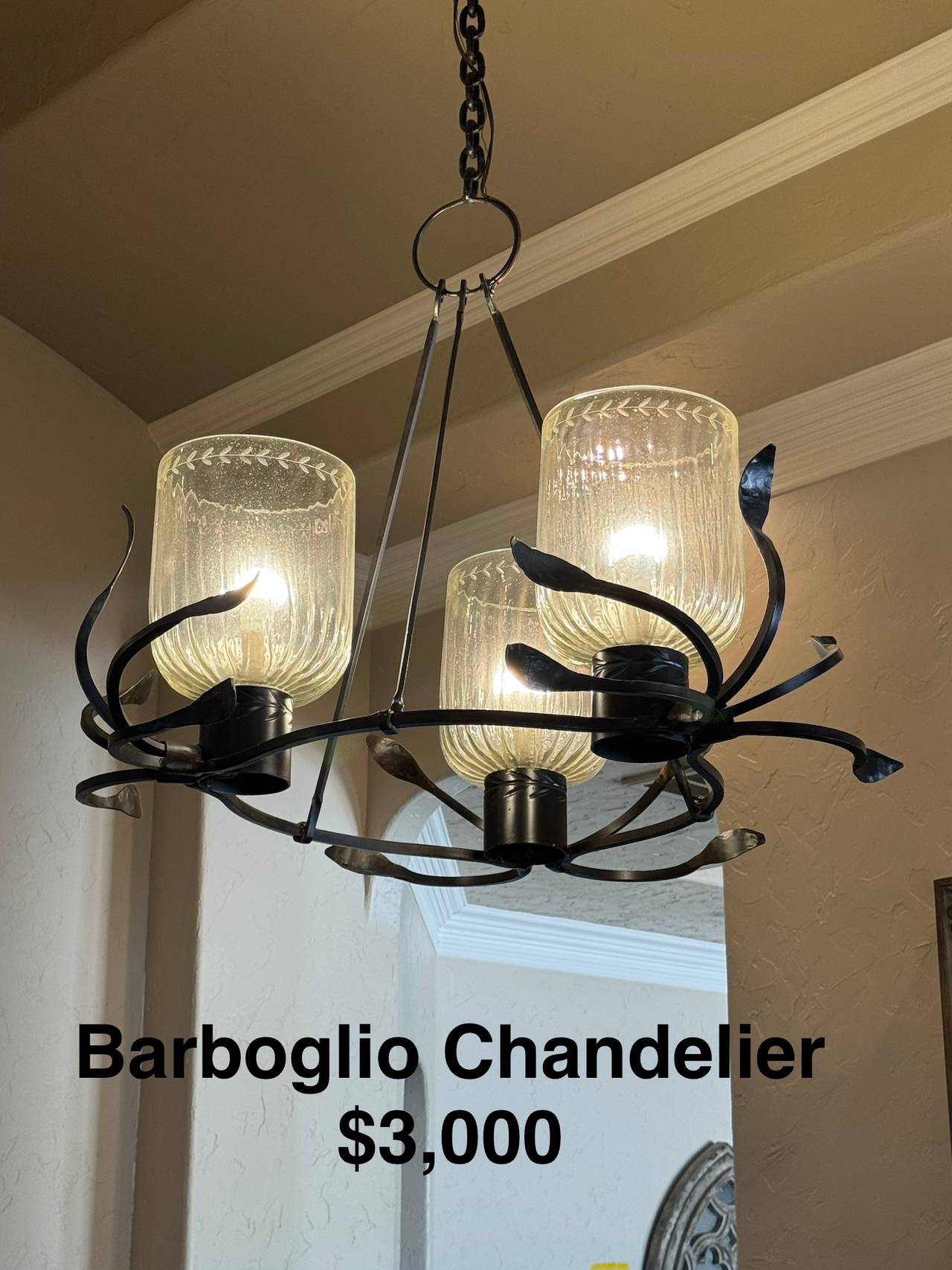 Jan Barboglio 3-Light Iron Chandelier