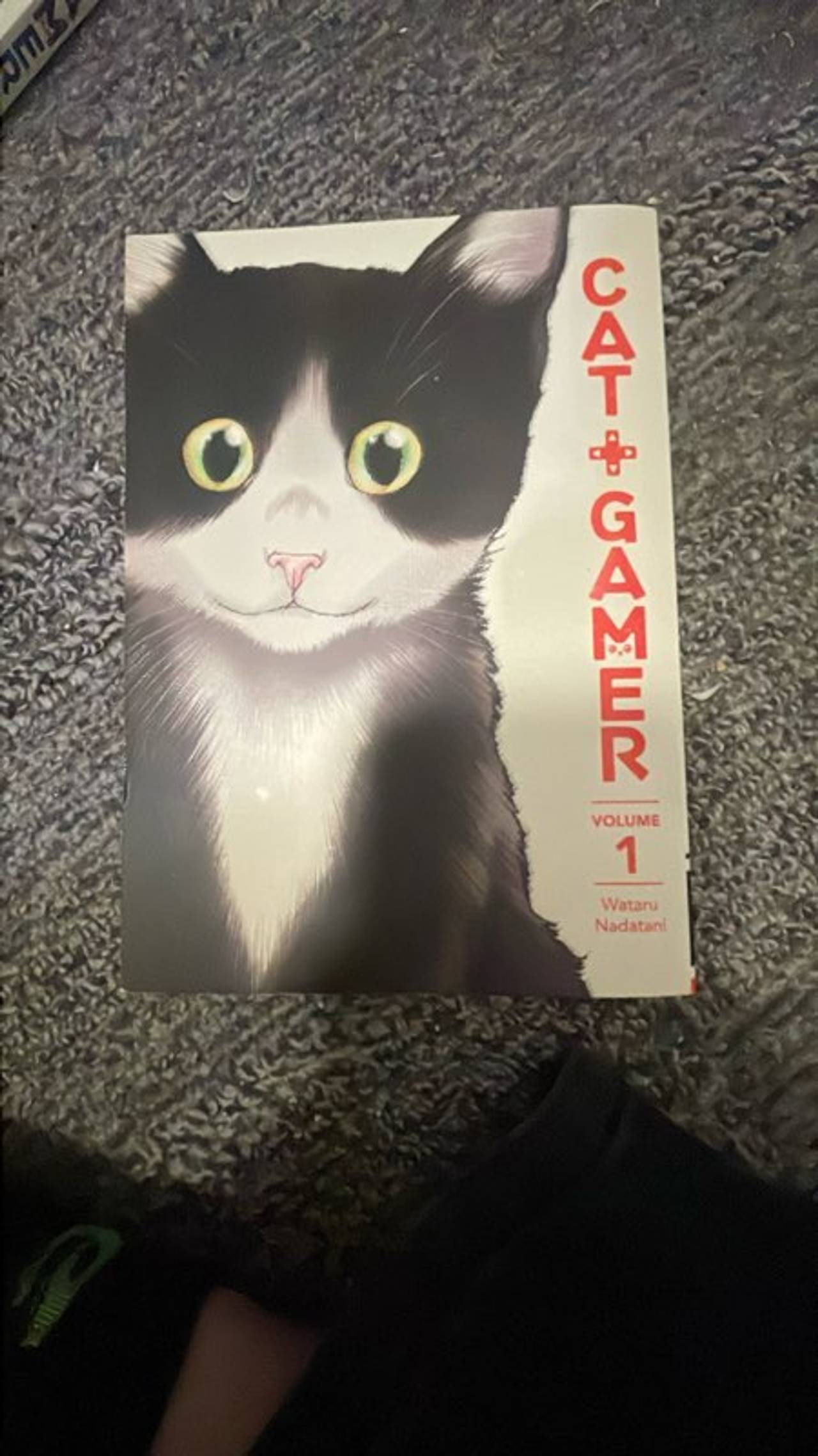Cat + Gamer Volume 1