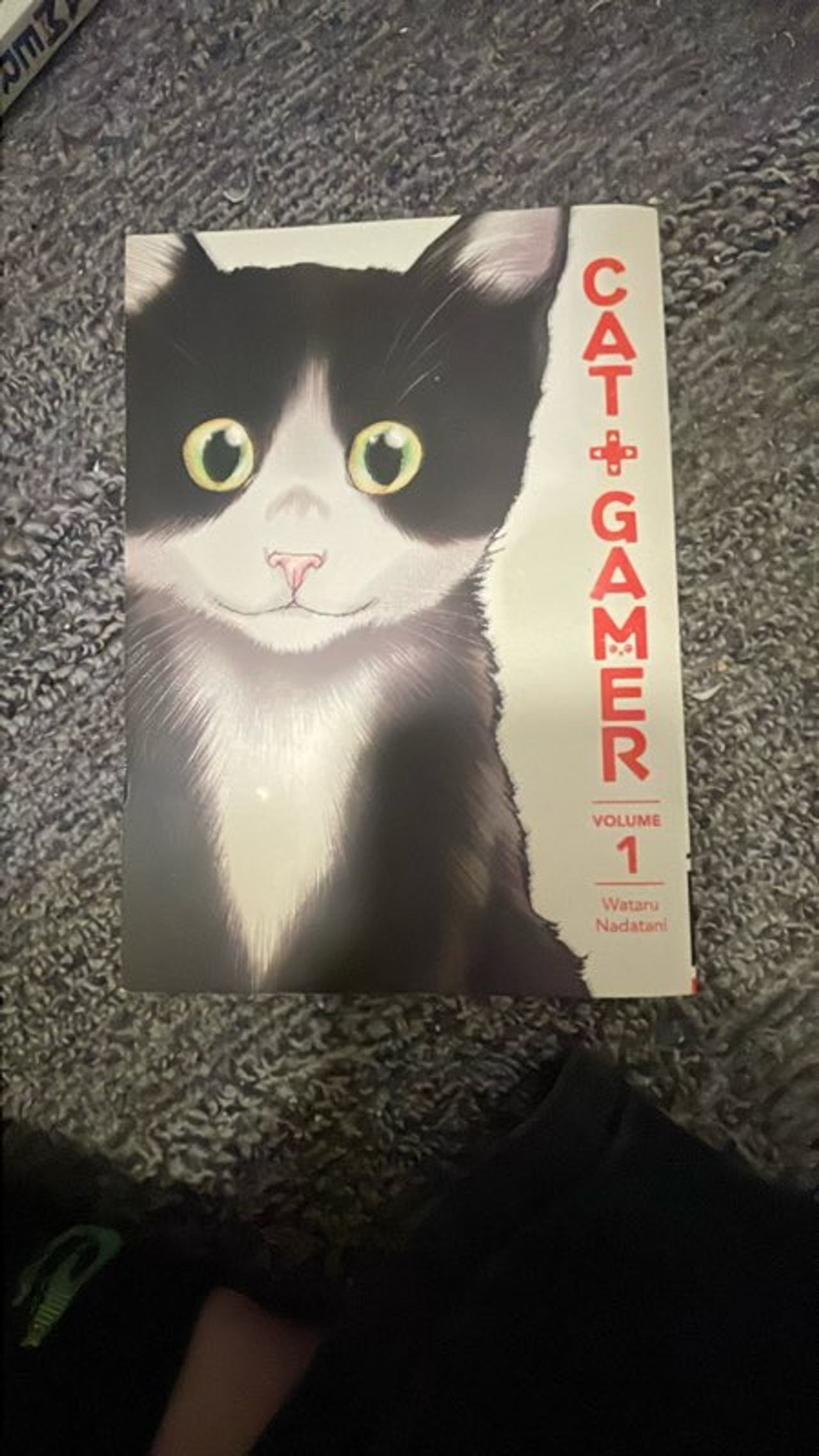 Cat + Gamer Volume 1