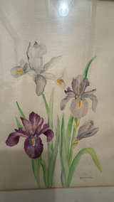 R. Petermann Iris Watercolor - Image 2