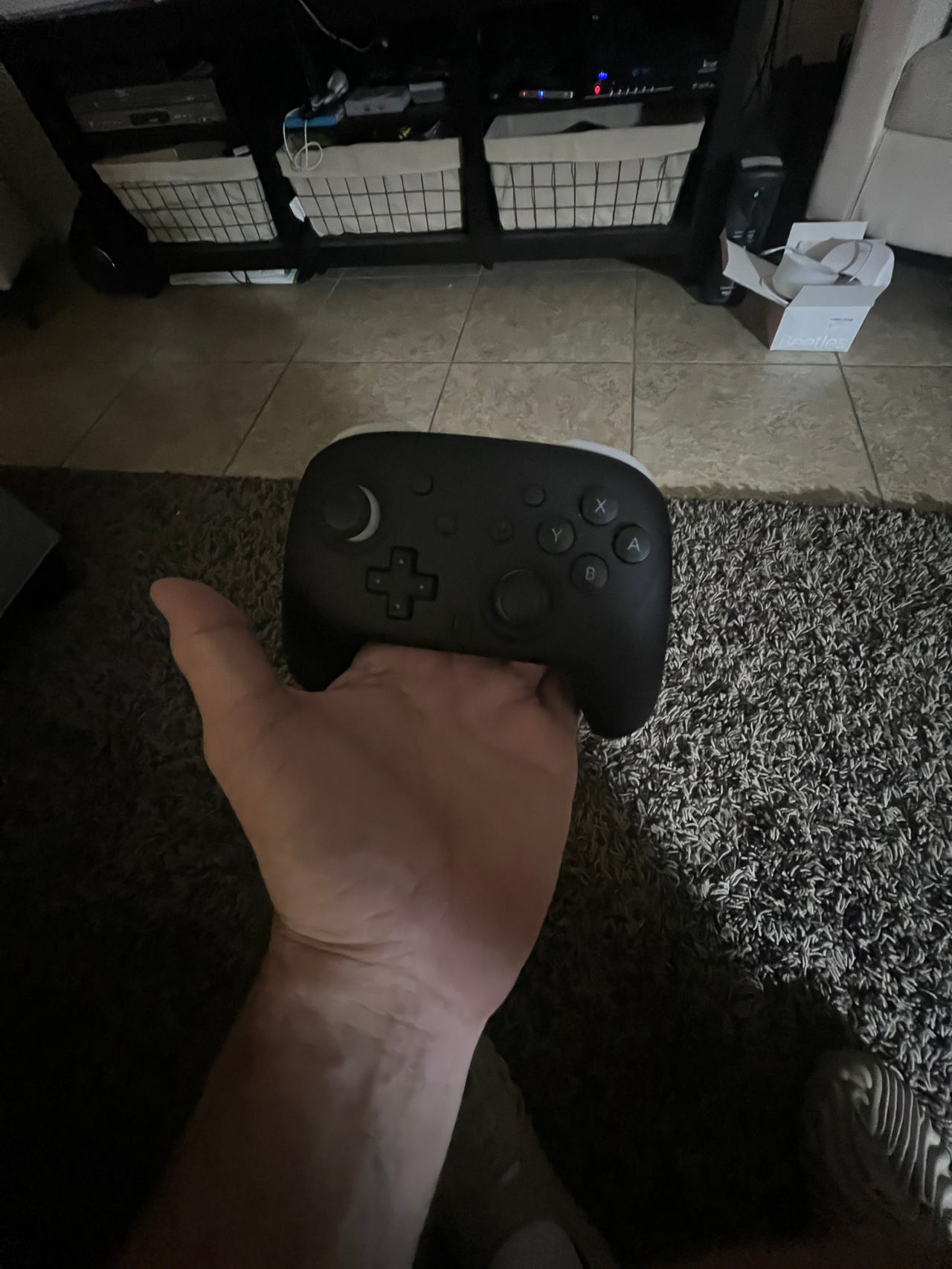 Nintendo Switch Pro Controller