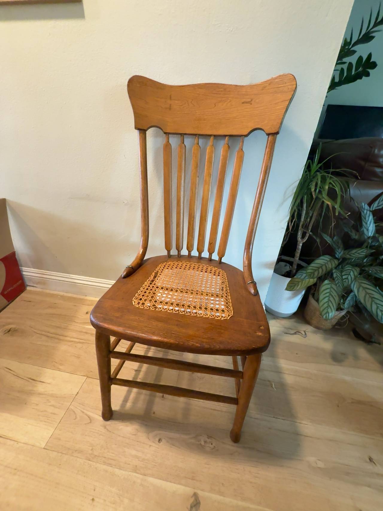 Antique Pressed Back Oak Chair with Cane Seat