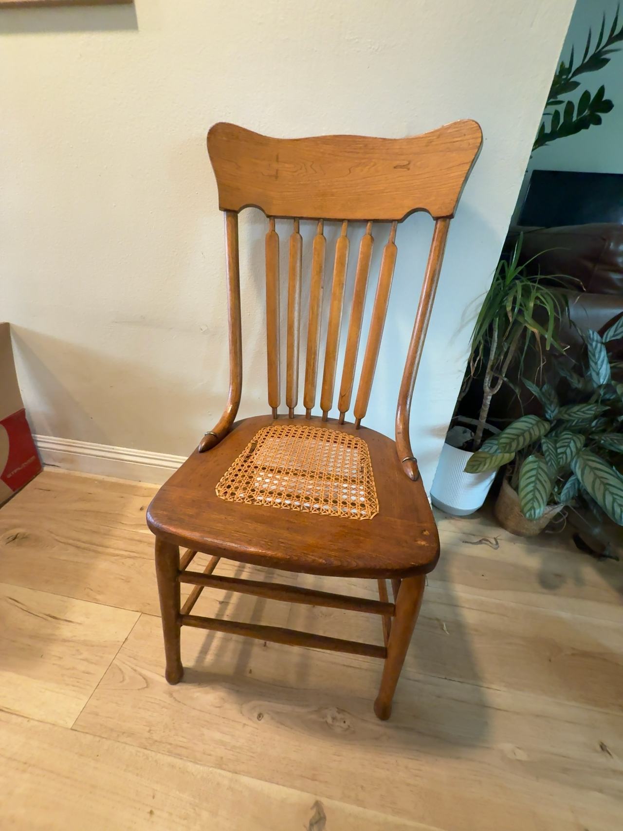 Antique Pressed Back Oak Chair with Cane Seat