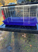 Kaytee Rabbit/Guinea Pig Habitat - Image 1