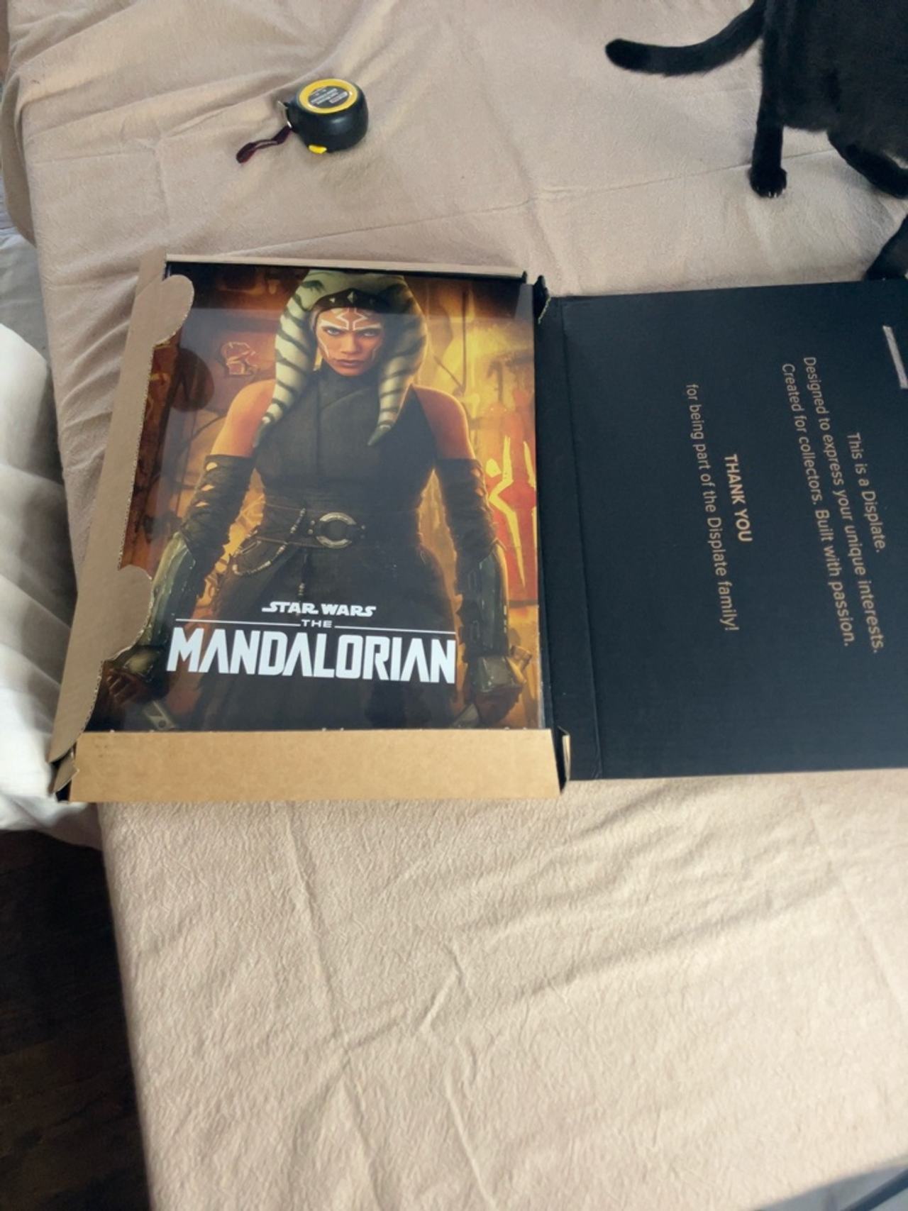 Star Wars Ahsoka Tano Poster (The Mandalorian Season 2)