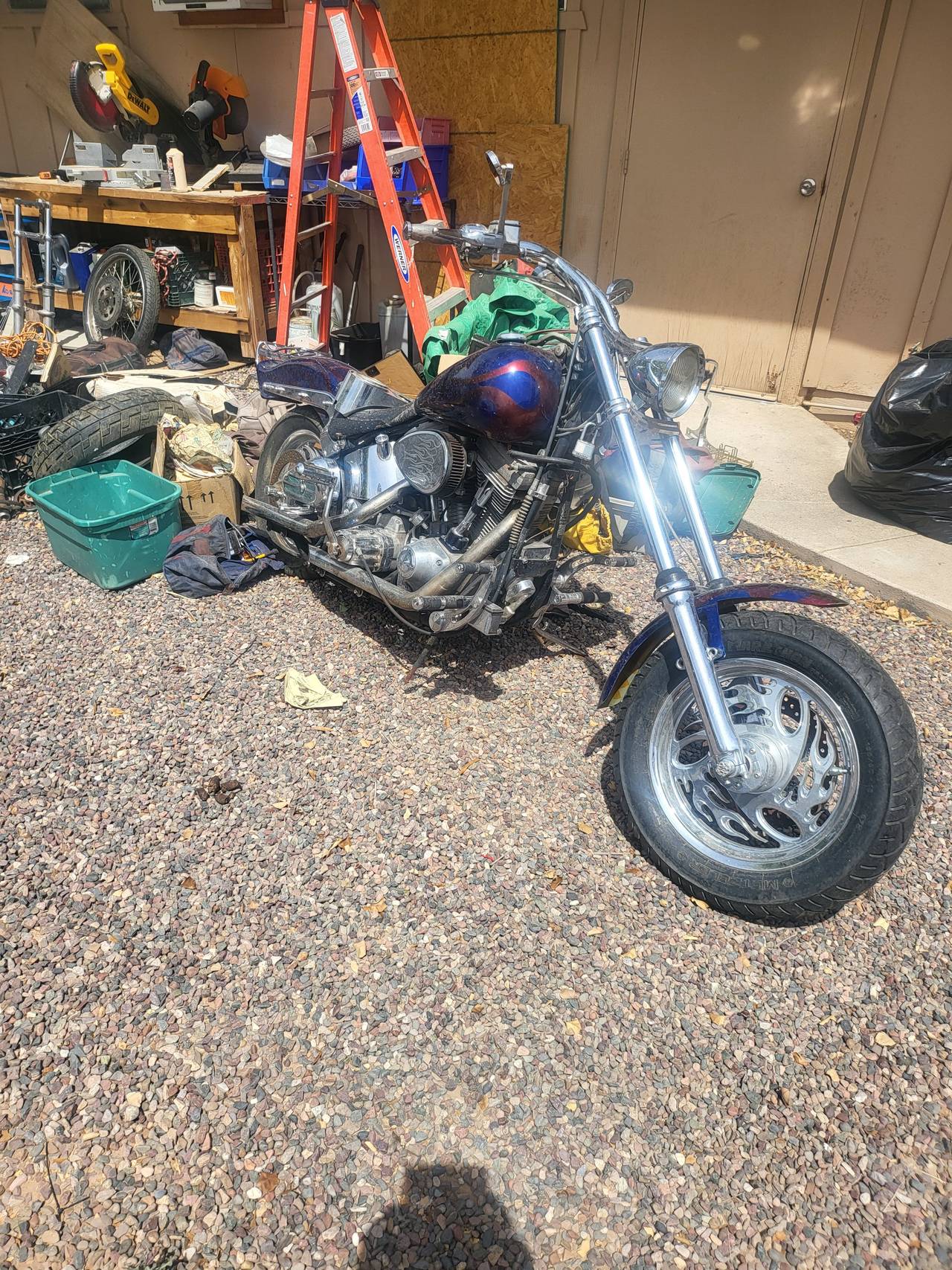 Harley-Davidson Softail Custom