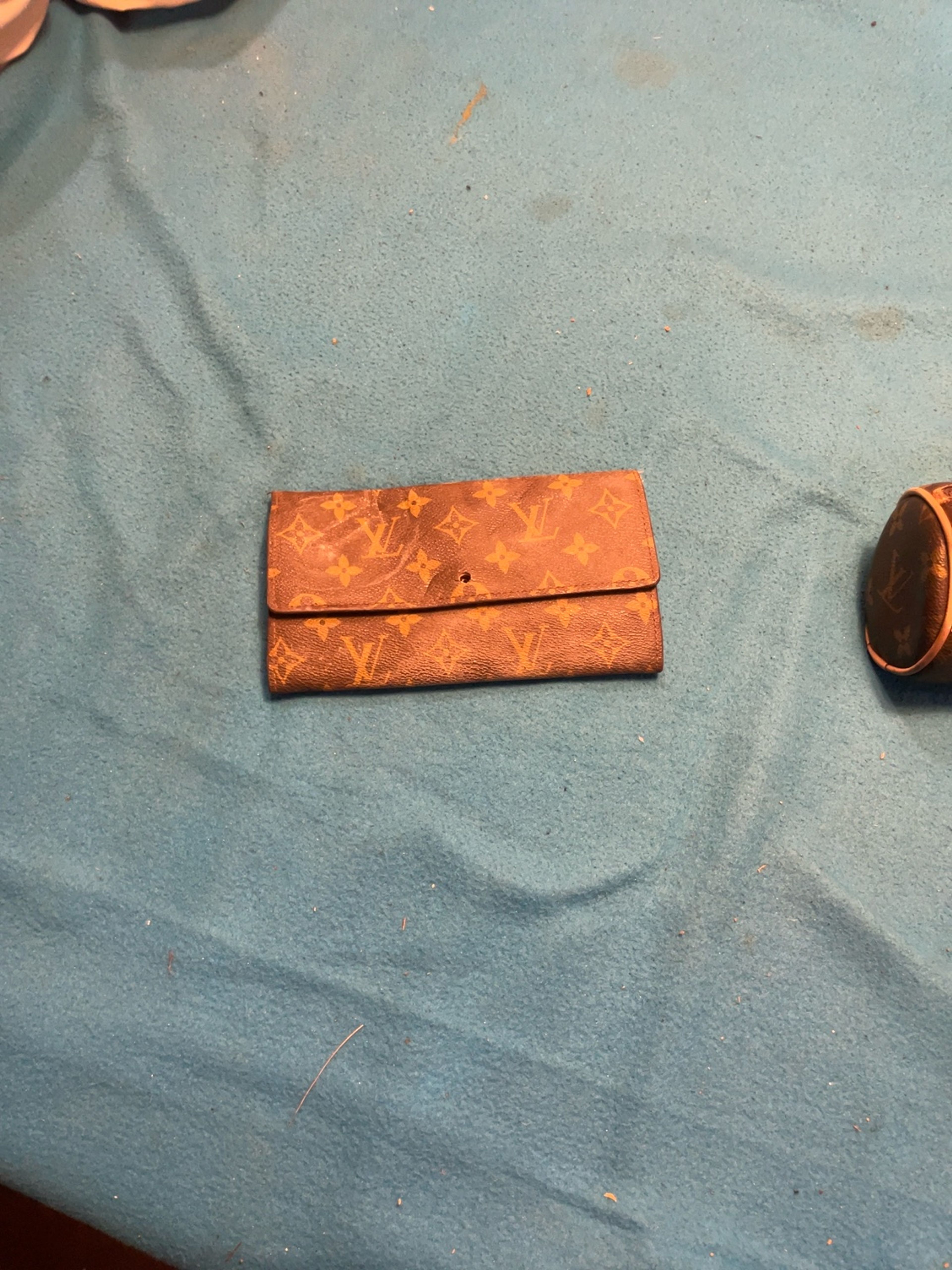 Louis Vuitton Sarah Monogram Long Wallet