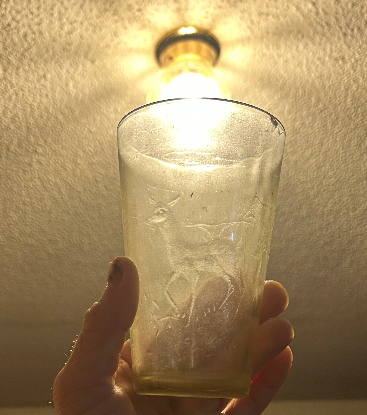 Vintage Embossed Deer Glass Tumbler