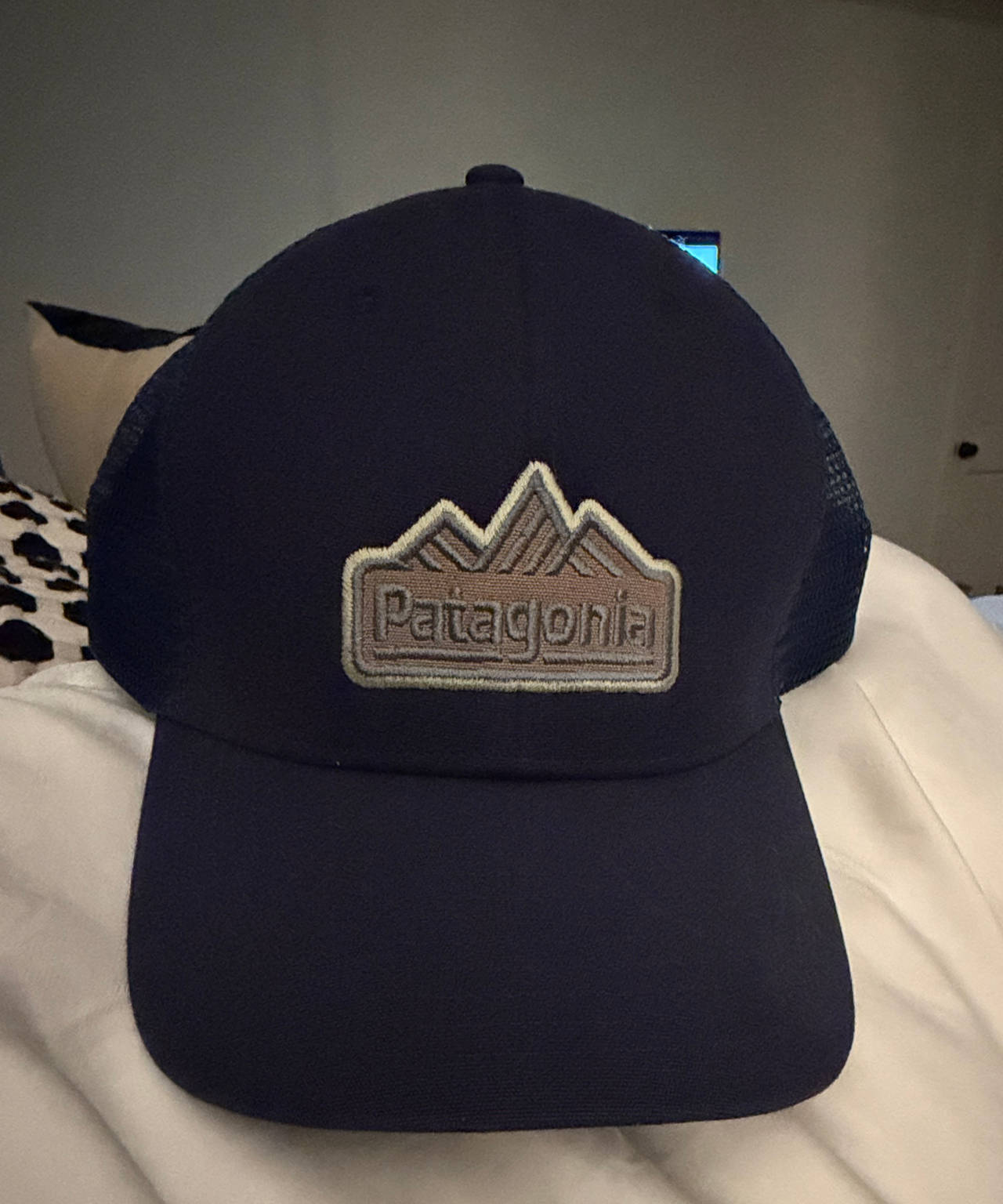 Patagonia P-6 Logo Trucker Hat