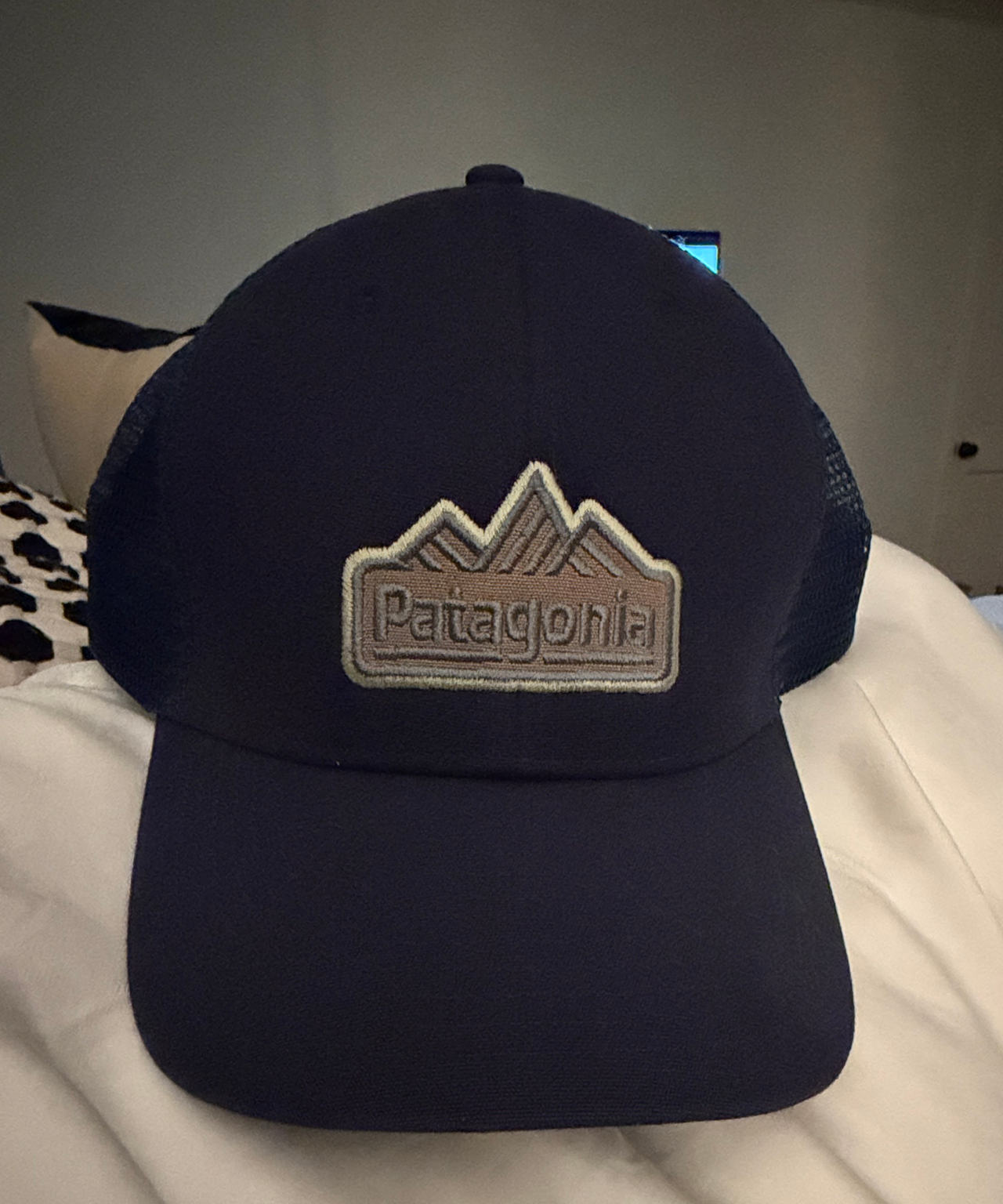 Patagonia P-6 Logo Trucker Hat