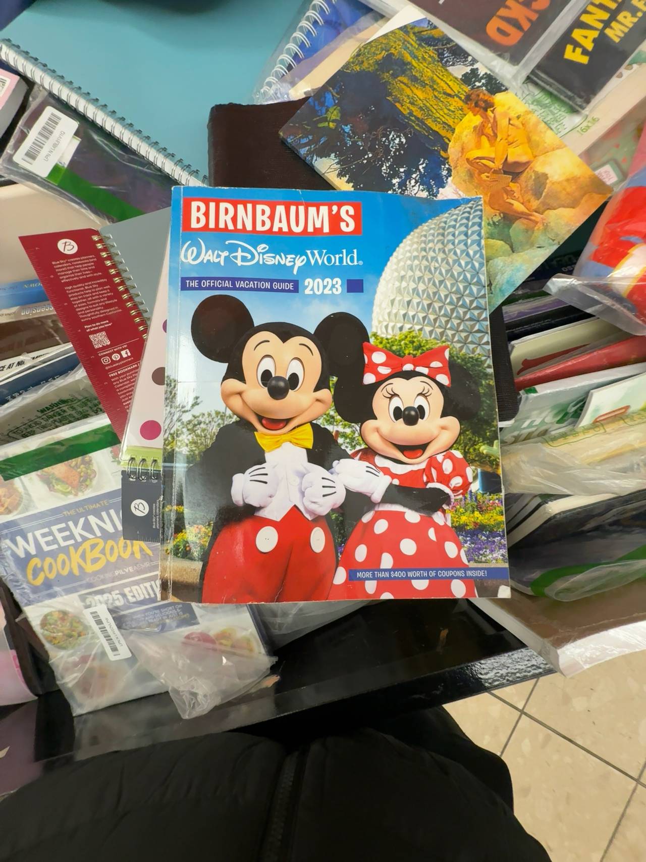 Birnbaum's 2023 Walt Disney World Official Vacation Guide