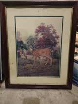 Framed Whitetail Deer Wildlife Print - Image 1