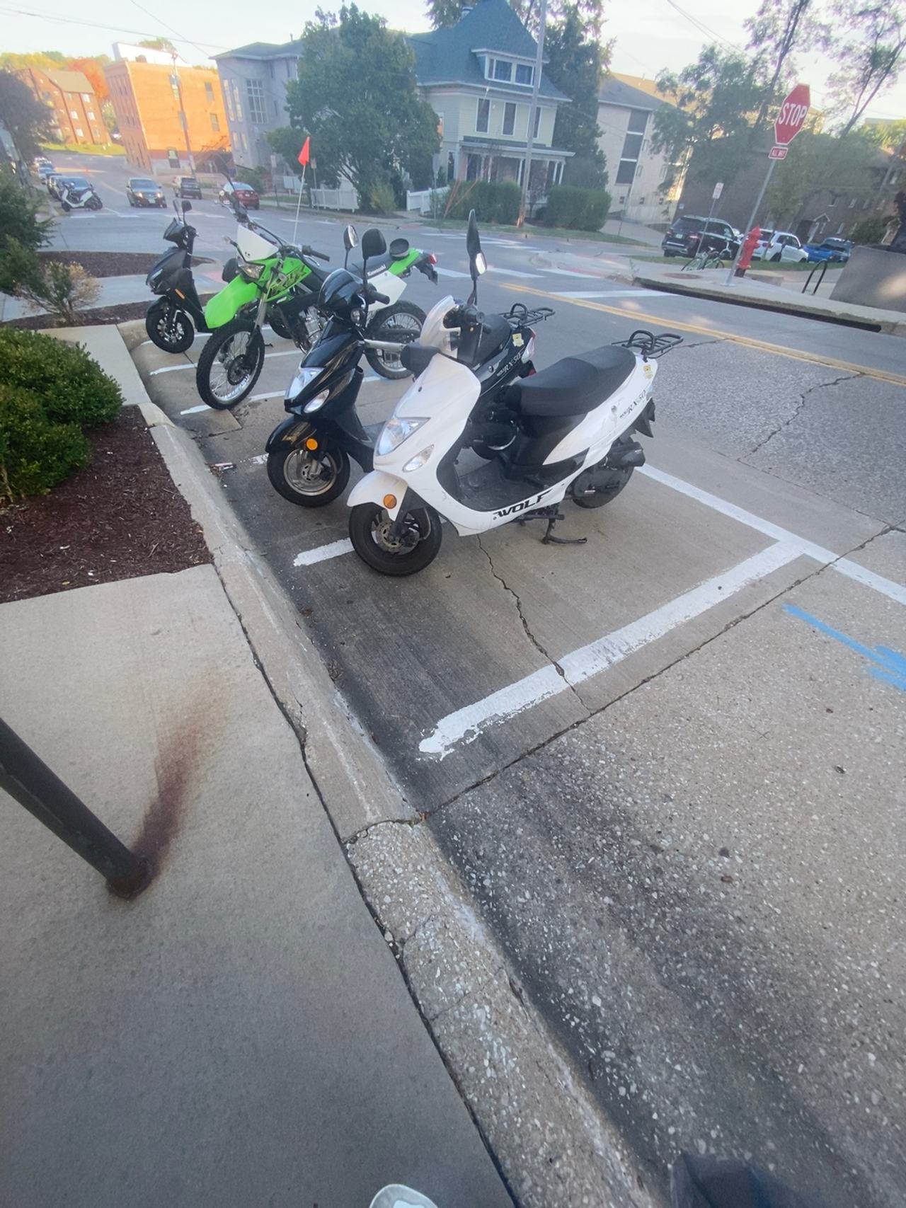 Wolf 50cc Scooter