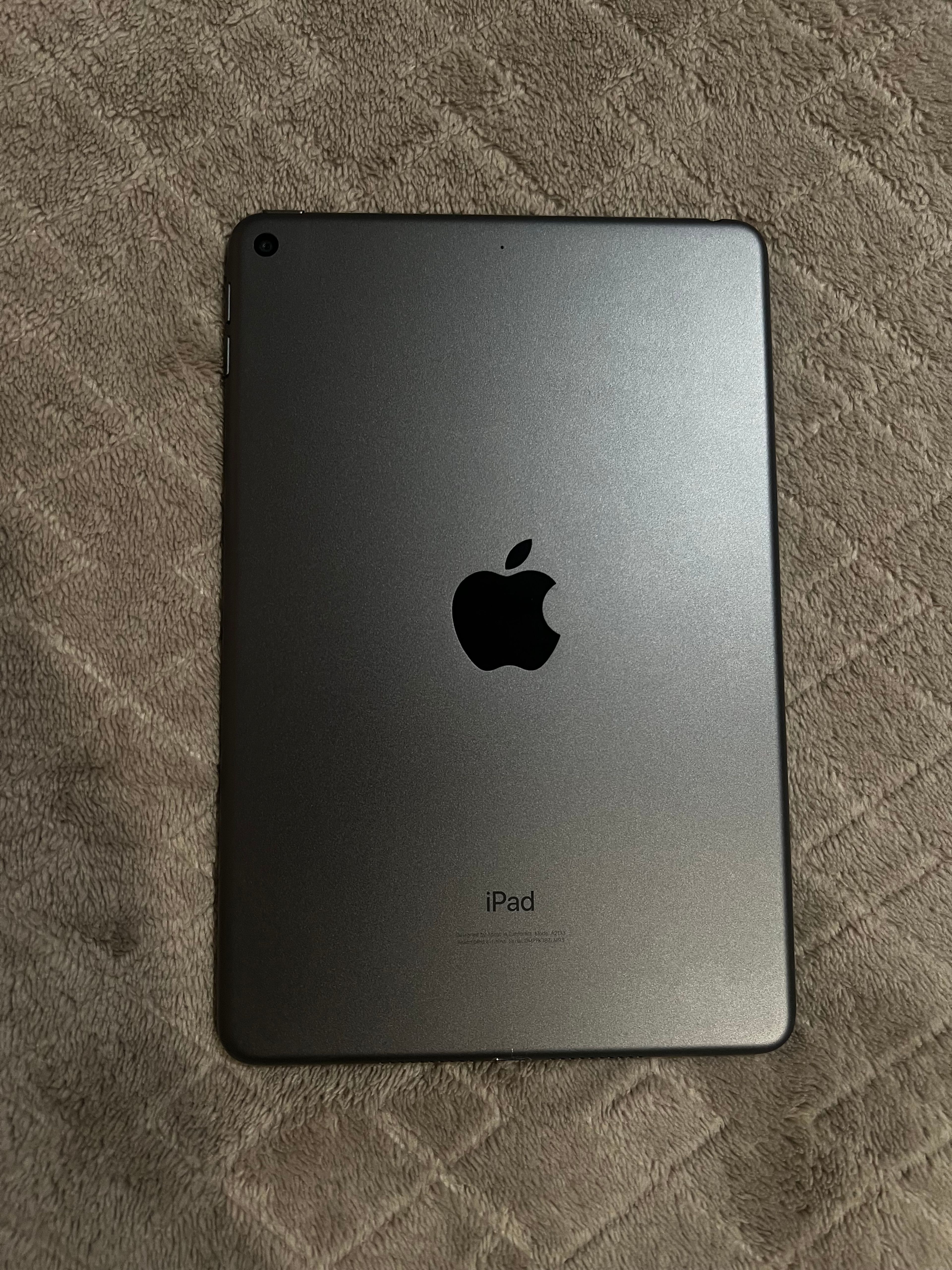 Apple iPad Mini Space Gray 64BG WiFi Unlocked 