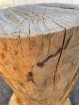 Wood Log Stump house decoration - Image 3