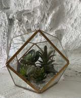 Geometric Glass Terrarium with Artificial Succulents - Image 1