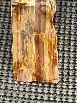 Petrified Wood Brown Slab - Image 6