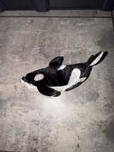 Wyland Orca Whale Plush - Image 2