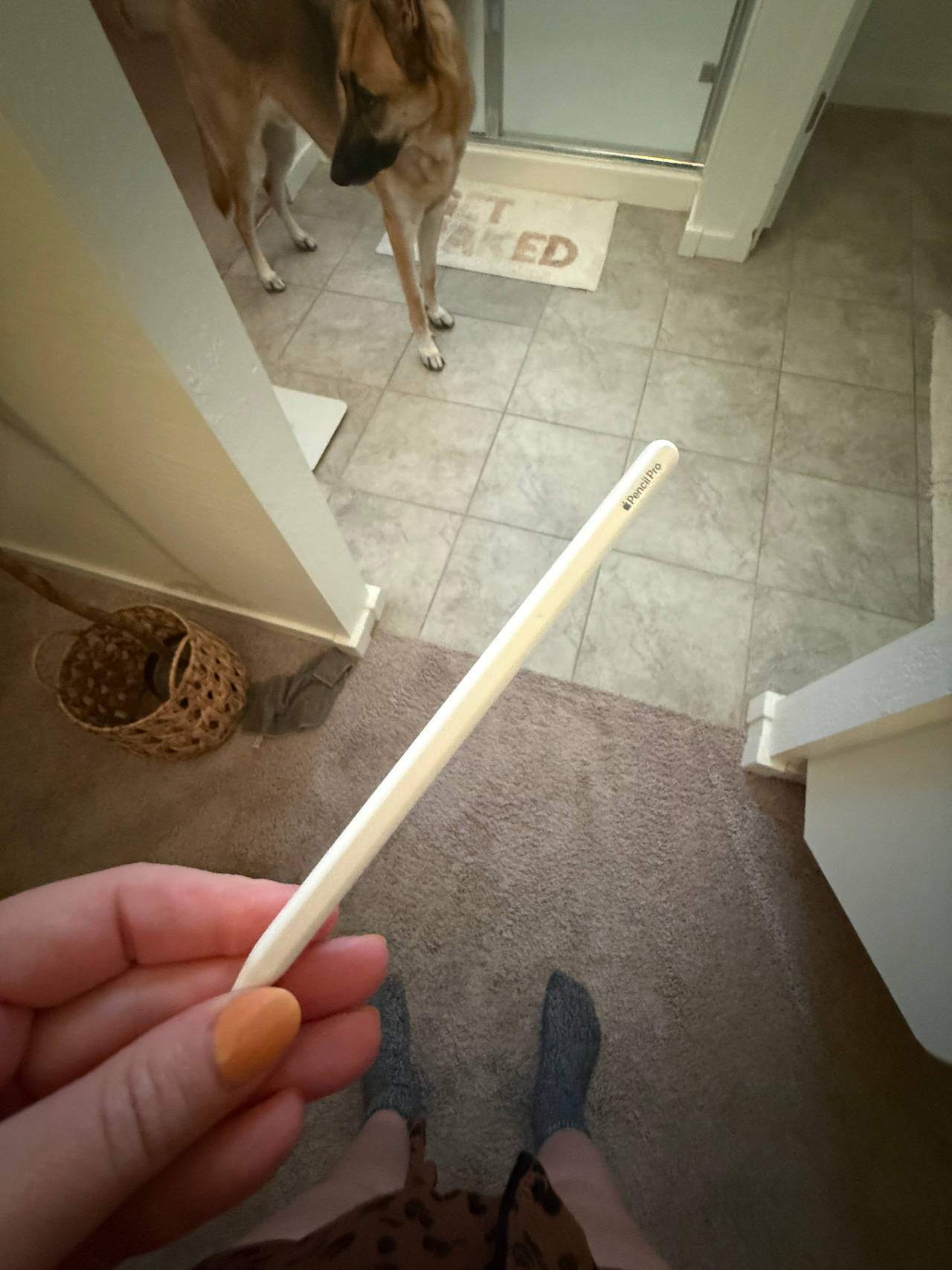 Apple Pencil pro
