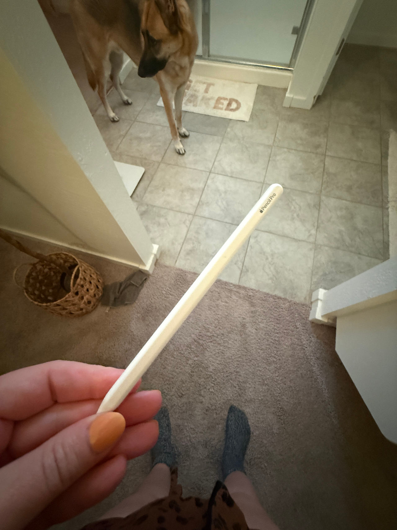 Apple Pencil pro
