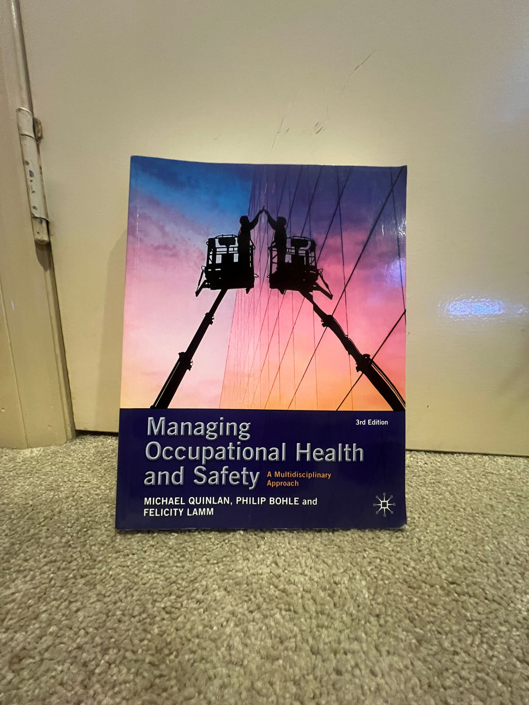 Managing Occupational Health and Safety: A Multidisciplinary Approach