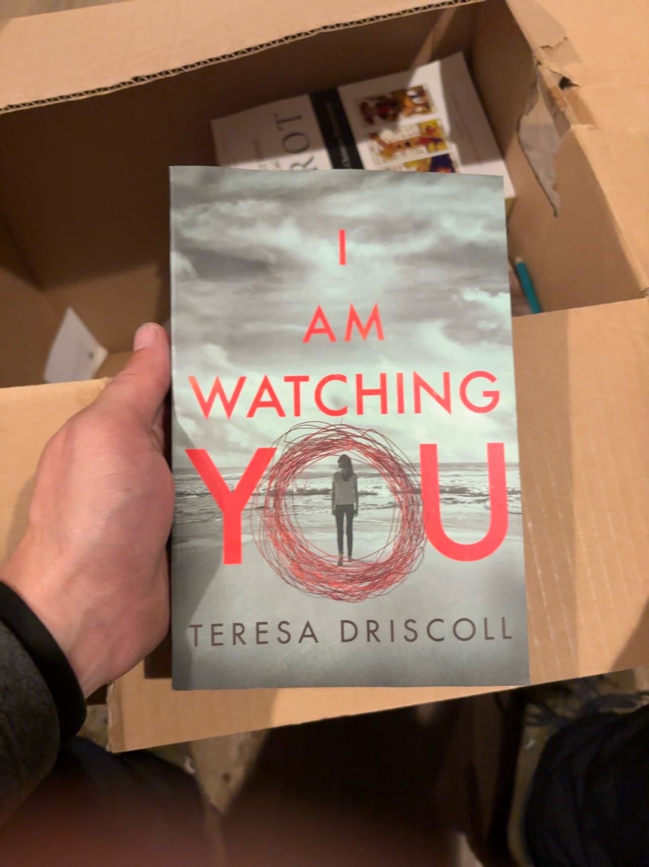 I Am Watching You by Teresa Driscoll (Paperback)