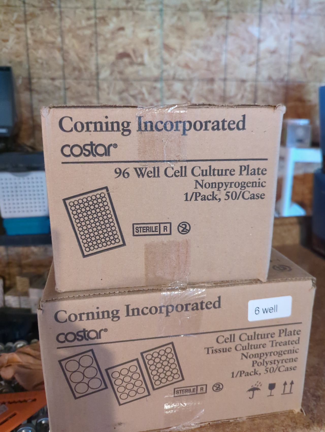 Corning Costar 96 Well Cell Culture Plate