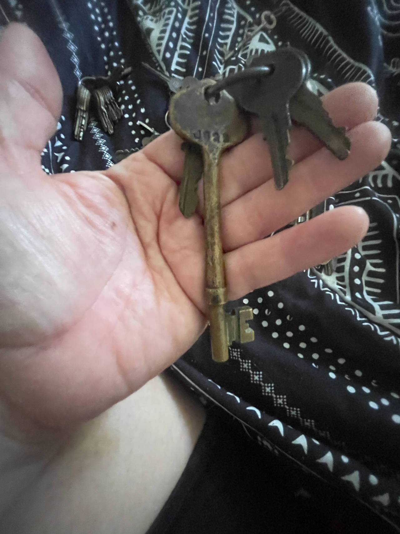 Antique Skeleton Key
