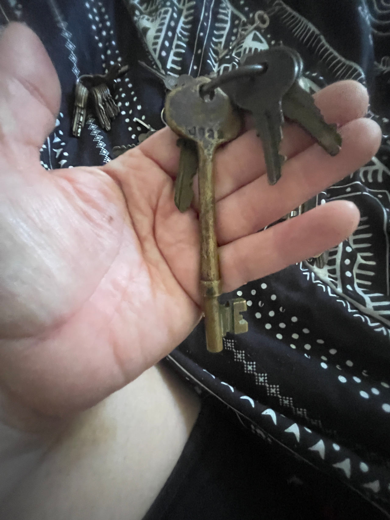 Antique Skeleton Key