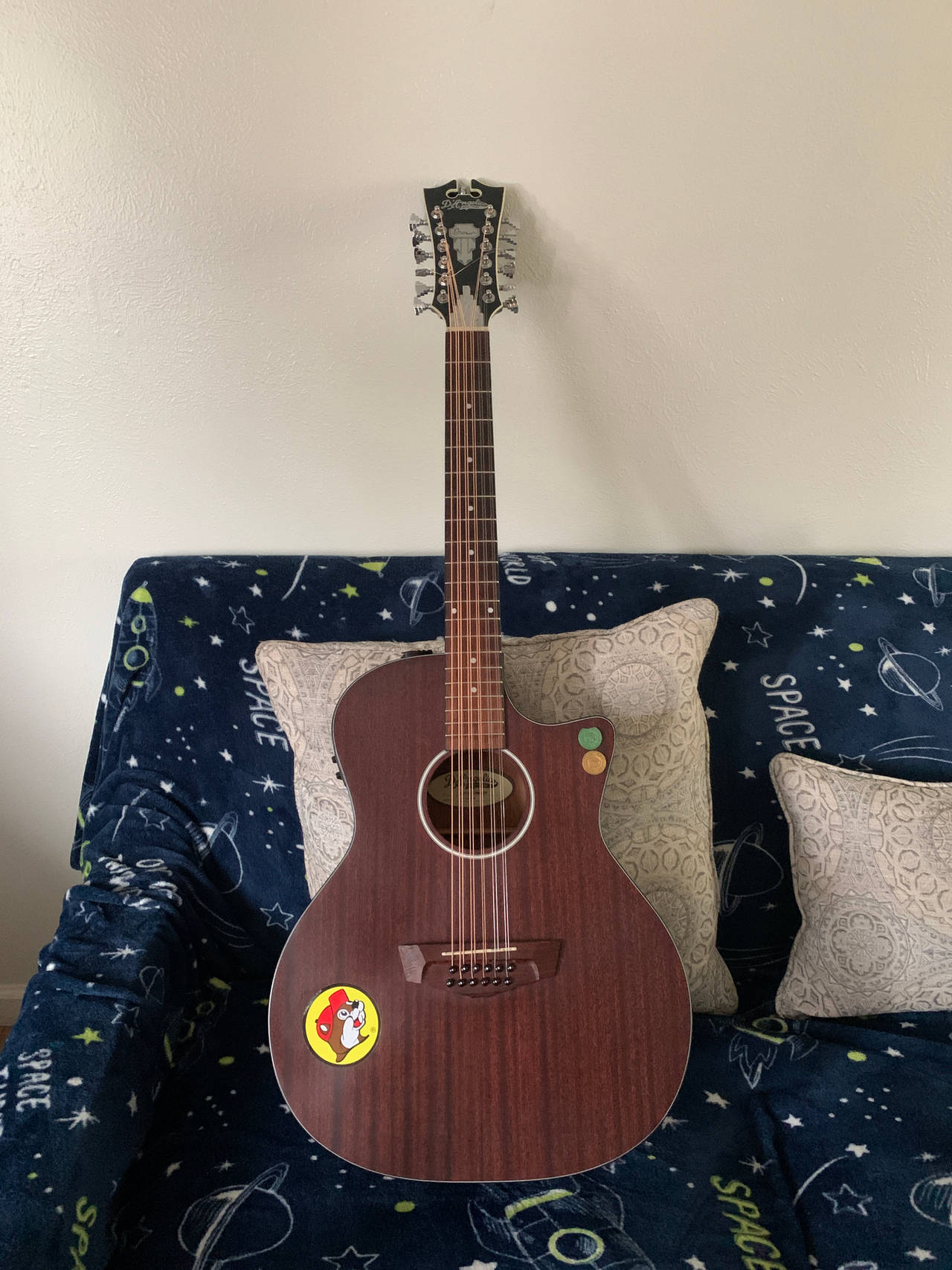 Oscar Schmidt 12-String Acoustic Guitar
