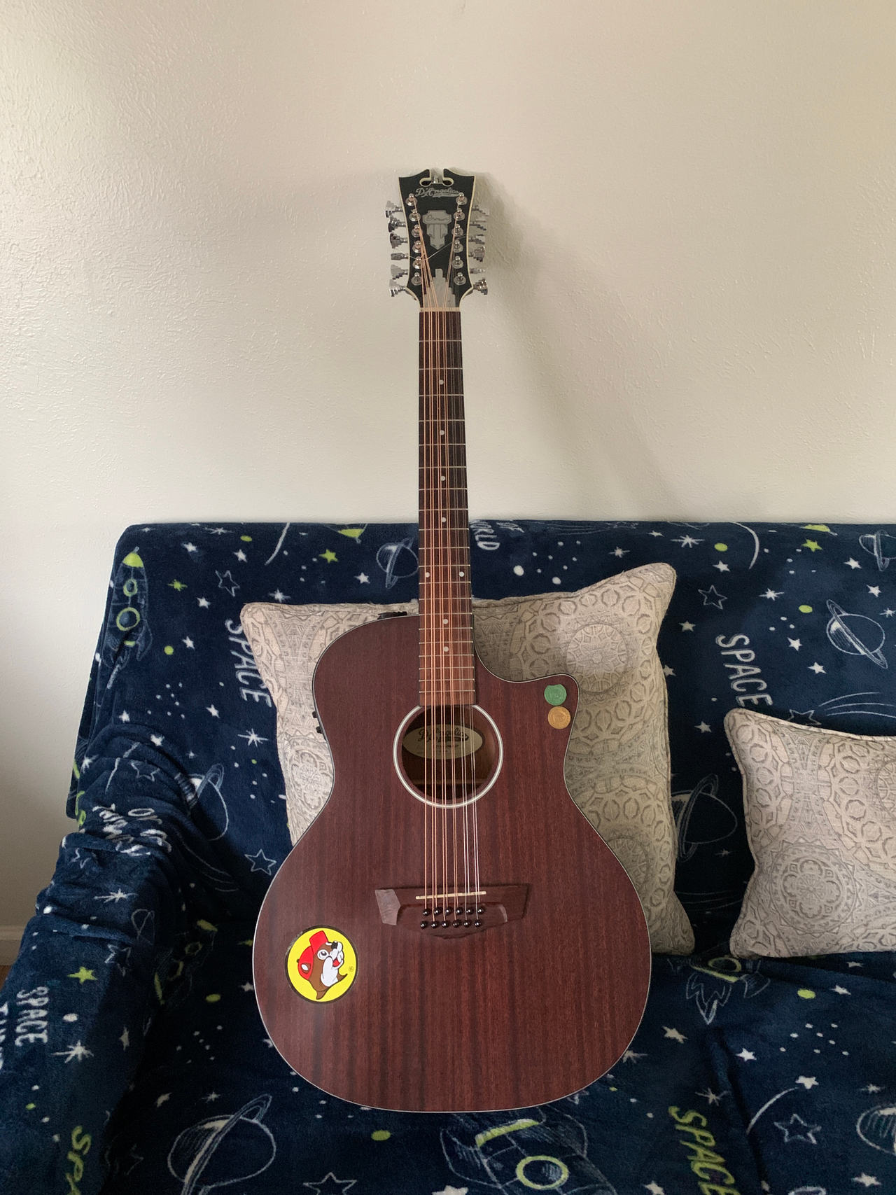 Oscar Schmidt 12-String Acoustic Guitar