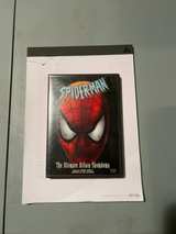 Marvel Spider-Man: The Ultimate Villain Showdown DVD - Image 1