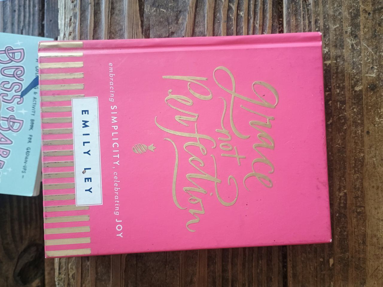 Grace Not Perfection by Emily Ley