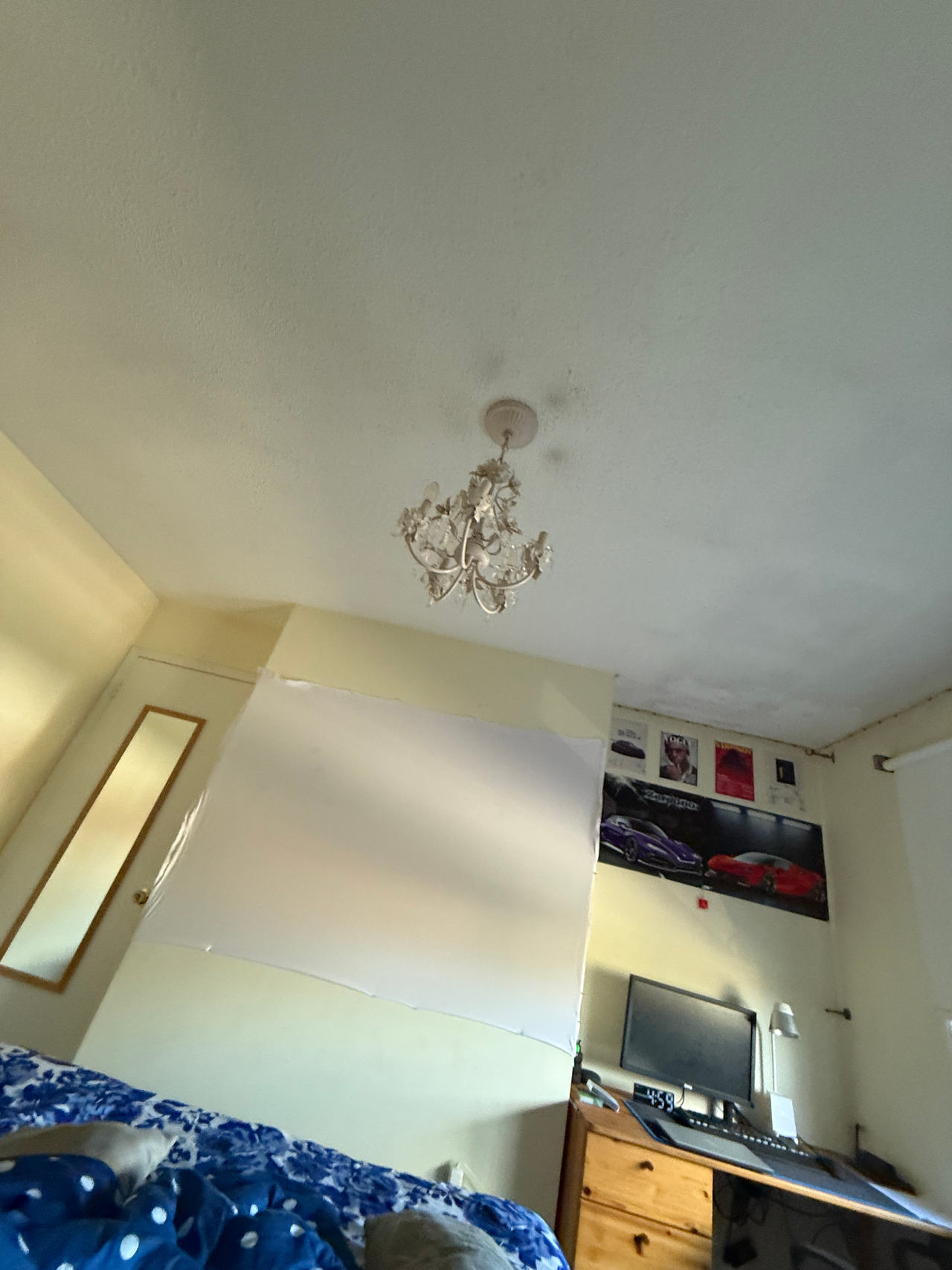 Chandelier Ceiling Light