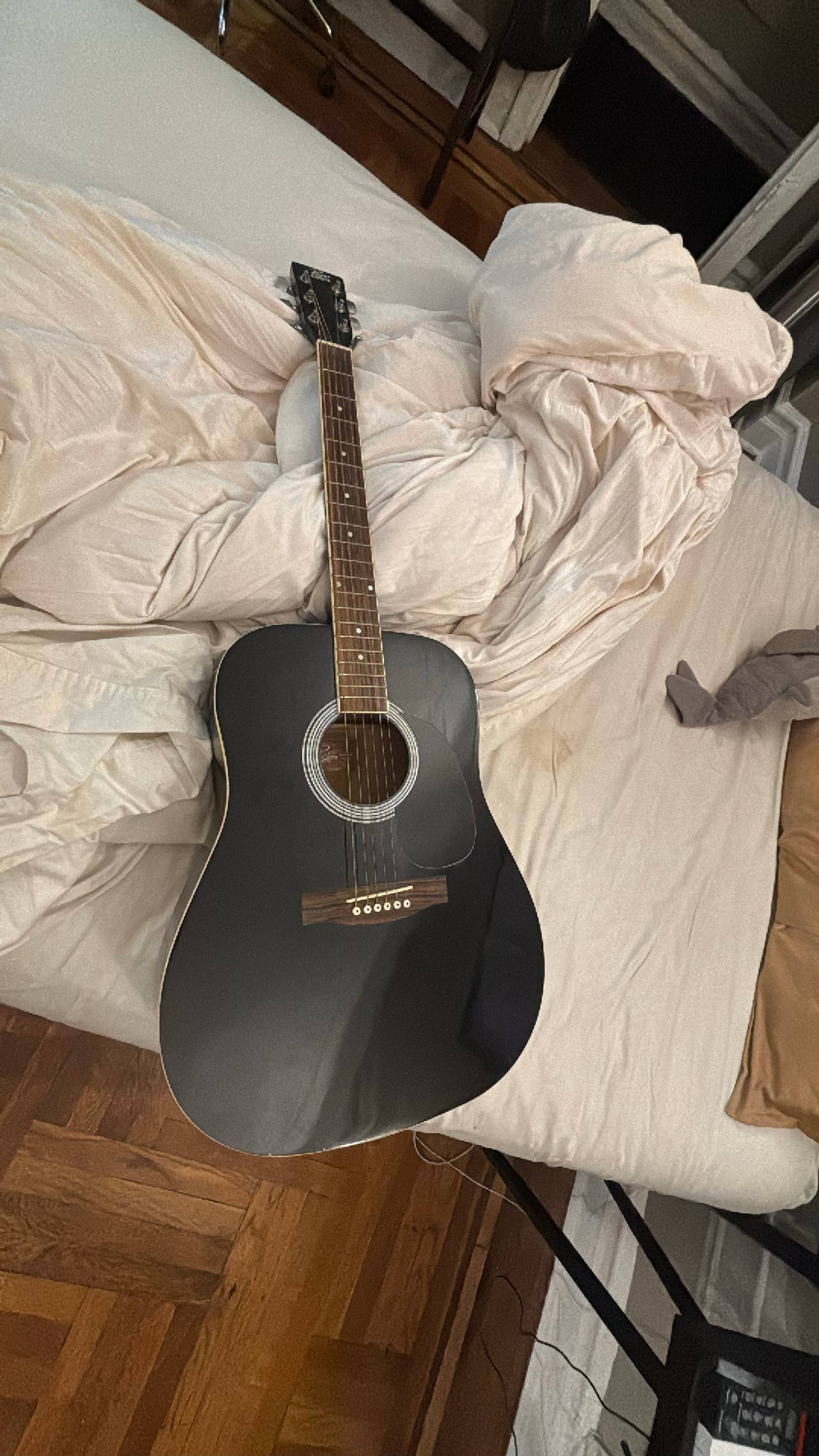 Acoustic Guitar