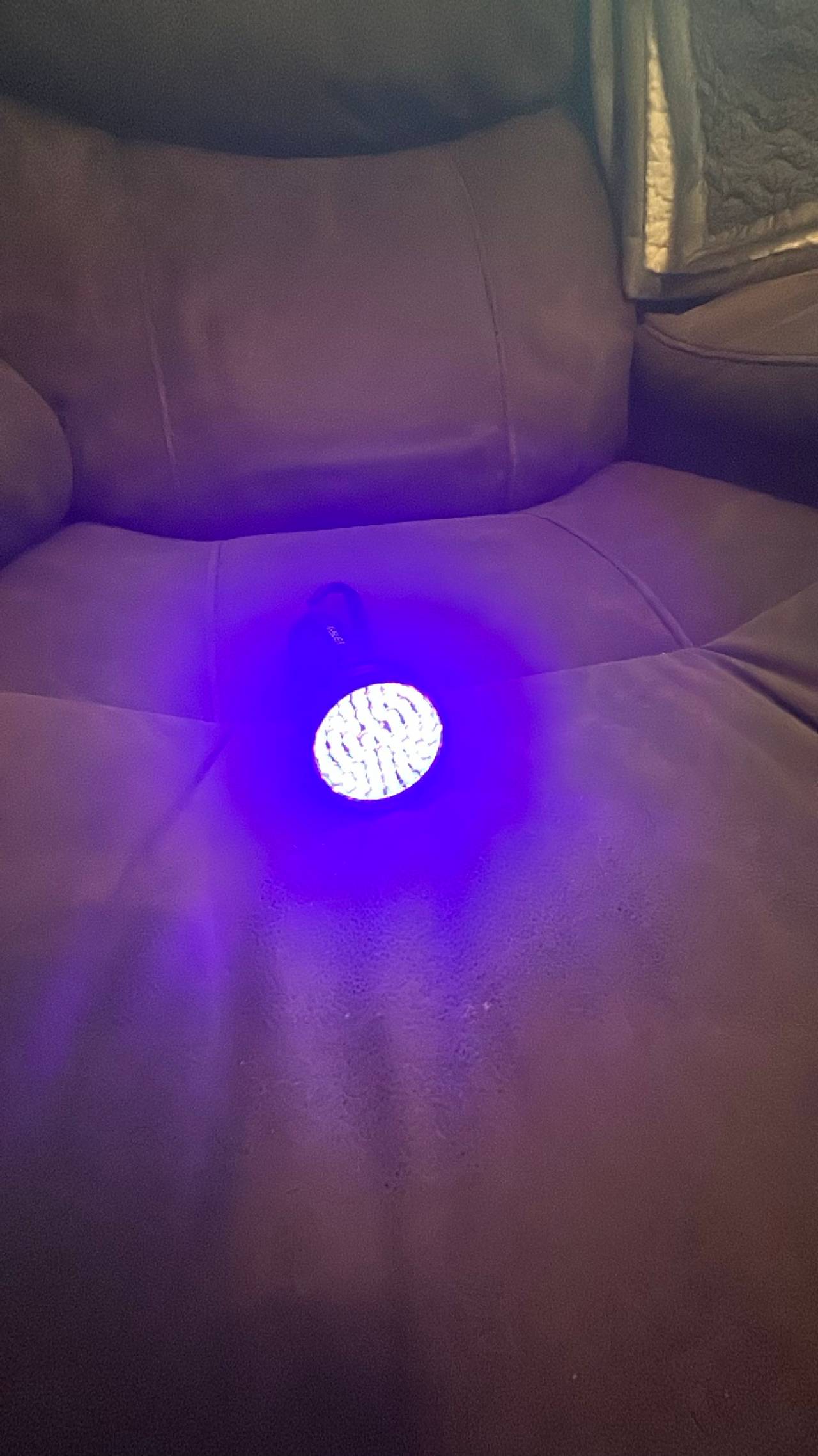 Vansky 51 LED UV Flashlight Blacklight