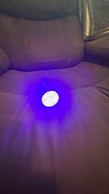 Vansky 51 LED UV Flashlight Blacklight - Image 1