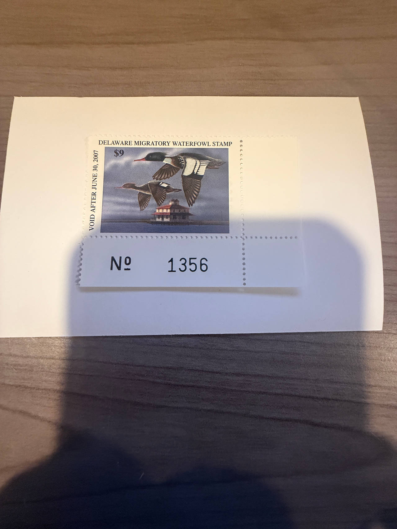 2006-2007 Delaware Migratory Waterfowl Stamp