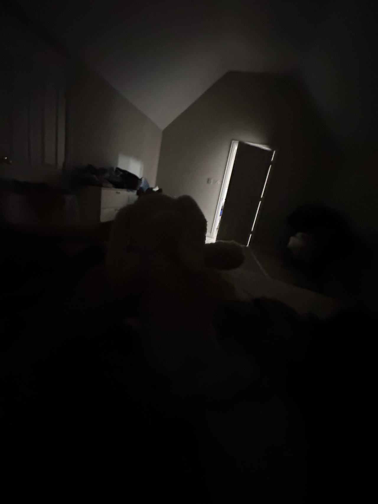 plush stuffed animal