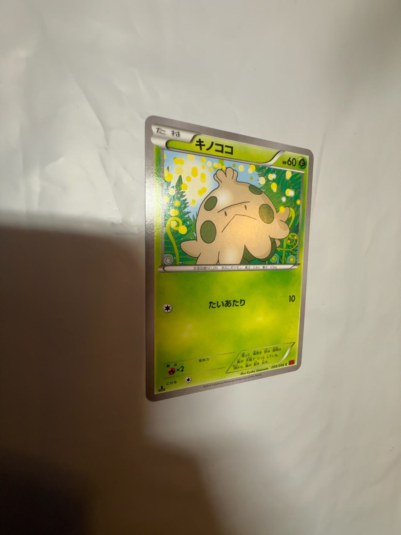 Pokemon Shroomish XY Furious Fists 6/111 Card